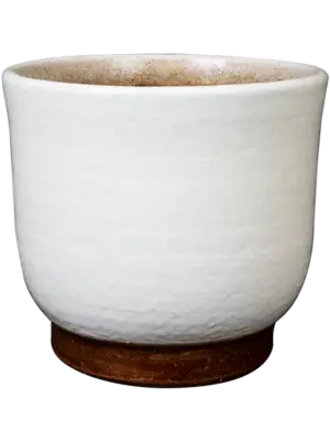 Pot White
