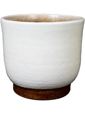 Pot White