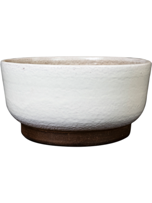 Bowl White