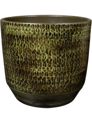 Pot Moss Green