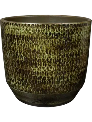 Pot Moss Green