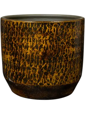 Pot Savana