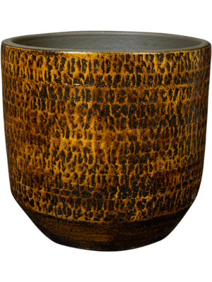 Pot Savana
