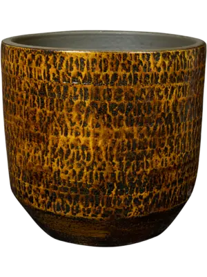 Pot Savana