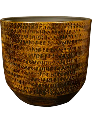 Pot Savana