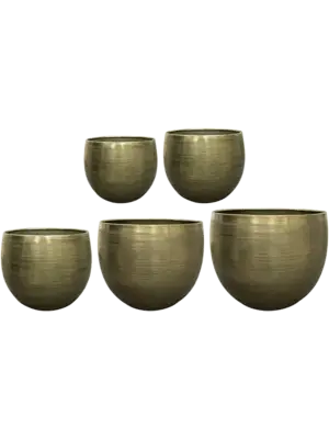 Pot New Green (set of 5)
