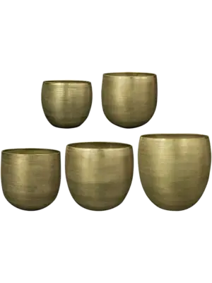 Pot New Green (set of 5)