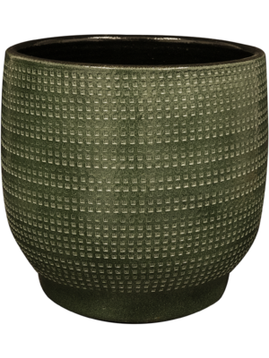 Pot Sage