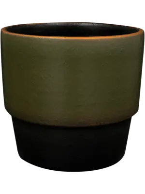 Pot Olive