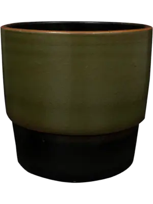 Pot Olive