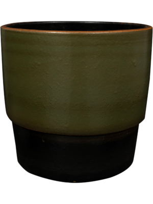 Pot Olive
