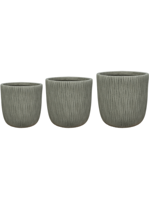 Pot Mint (set of 3)