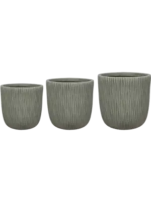 Pot Mint (set of 3)