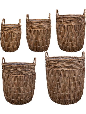 Pot Natural (set of 5)