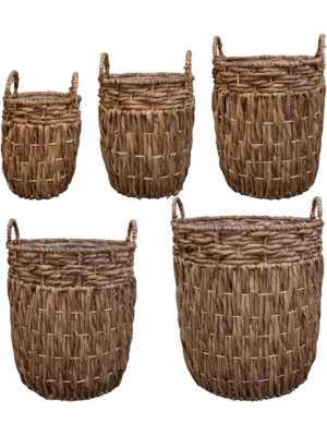 Pot Natural (set of 5)