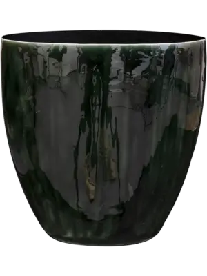 Planter Pine