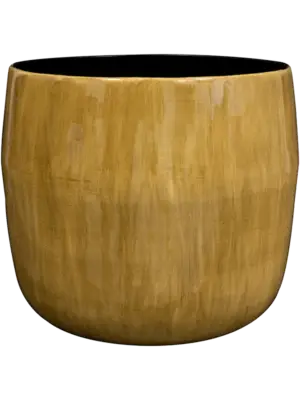 Pot Camel