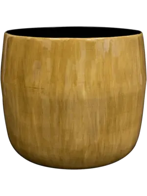 Pot Camel