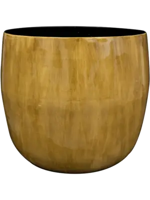 Pot Camel