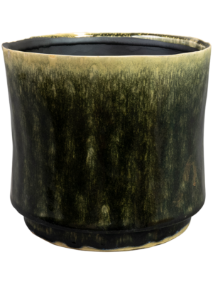 Pot Pine