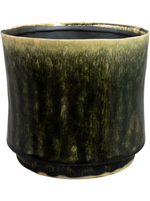 Pot Pine