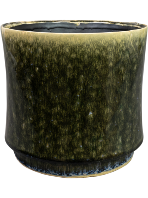 Pot Pine