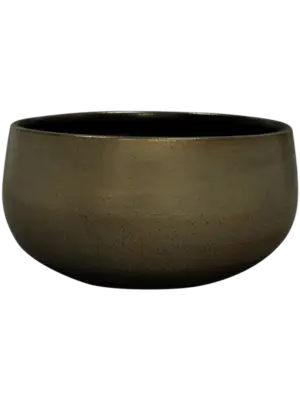 Bowl Shiny Green