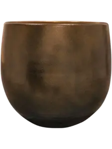 Brons kruka