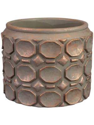 Pot Rose