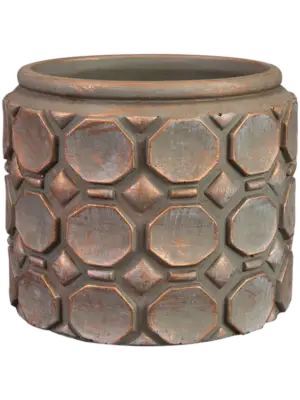 Pot Rose