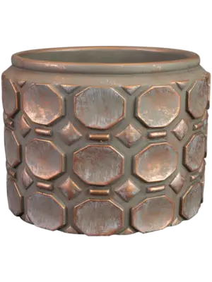 Pot Rose