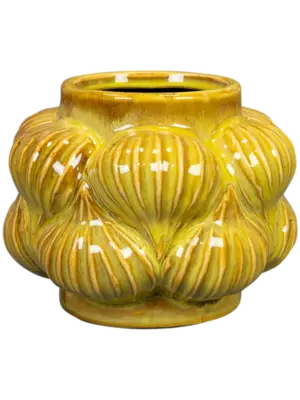 Pot Mustard