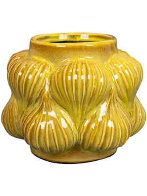 Pot Mustard