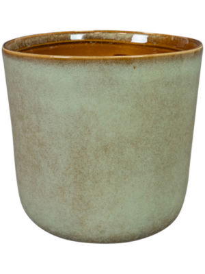 Pot Thyme