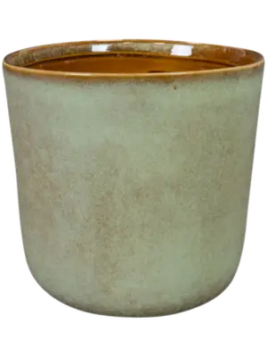 Pot Thyme