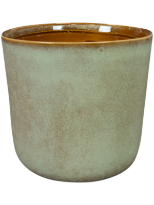 Pot Thyme