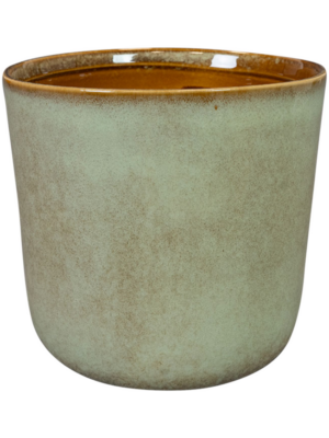 Pot Thyme