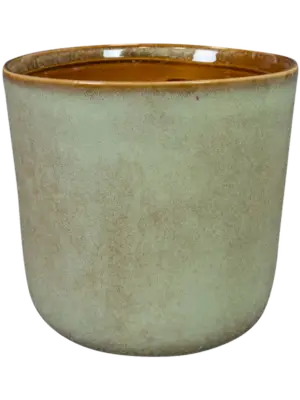 Pot Thyme