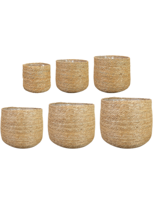 Pot Natural (set of 6)