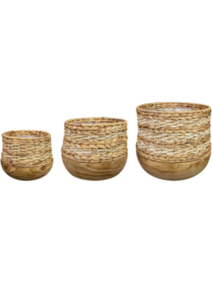Pot Natural (set of 3)