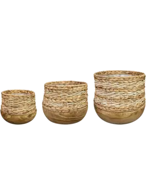 Pot Natural (set of 3)