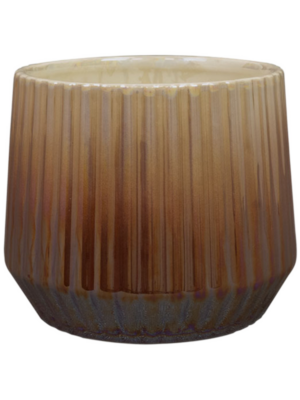 Pot Chestnut