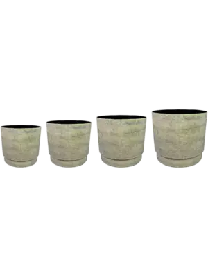 Pot Thyme (set of 4)
