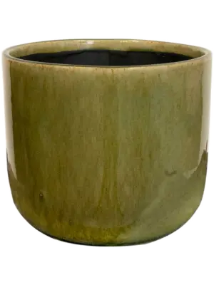 Pot Olive Green