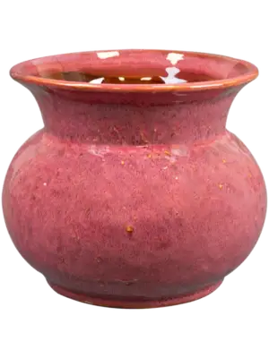 Pot Cherry