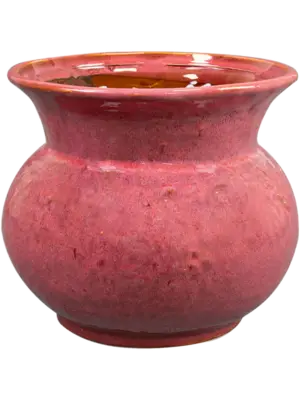 Pot Cherry