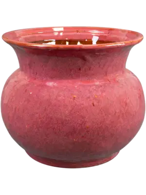 Pot Cherry