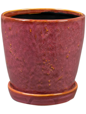 Pot With Saucer Cherry