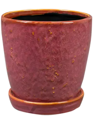 Pot With Saucer Cherry