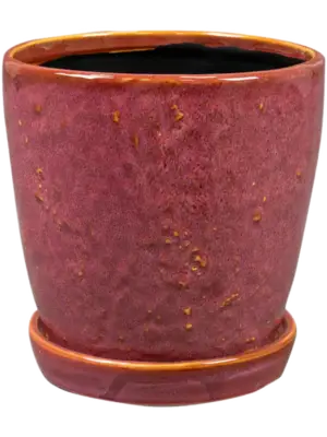 Pot With Saucer Cherry